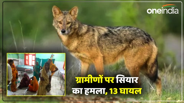 up-news-jackal-bites-13-people-in-sonbhadra-one-seriously-injured