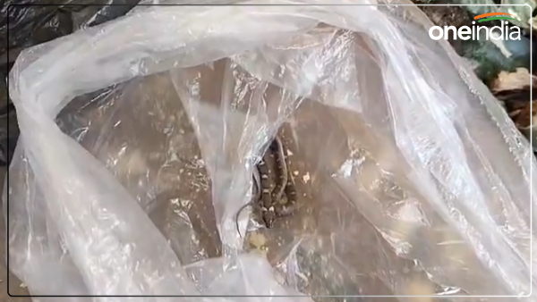 up-news-father-brought-his-son-and-baby-snake-to-the-hospital