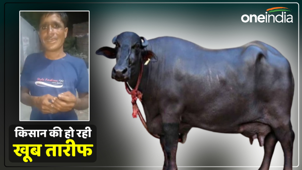 buffalo-gave-birth-to-a-baby-in-amroha-farmer-dialed-112-khushhalpur-ke-kisan-ki-ho-rahi-tarif