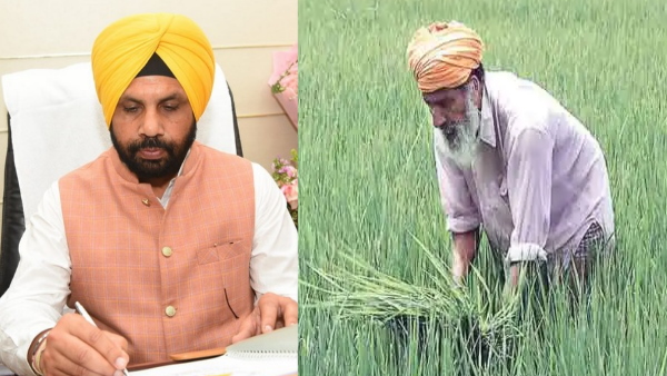 punjab