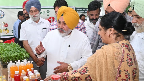 punjab litchi export
