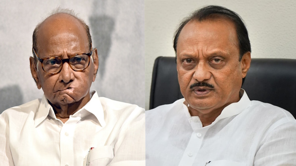 Sharad group is trying to merge with Congress