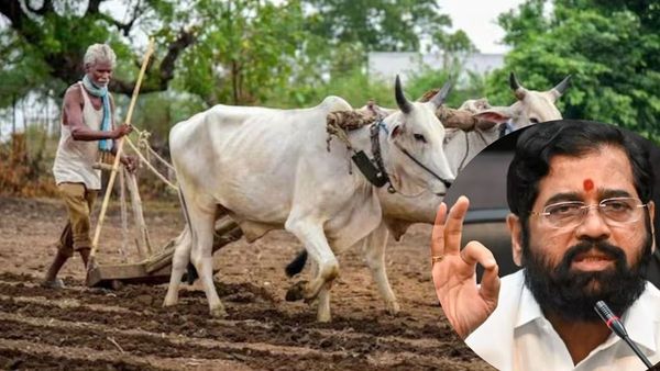 12 000 Maharashtra Farmers To Benefit From Rs 12 000 Annual Aid