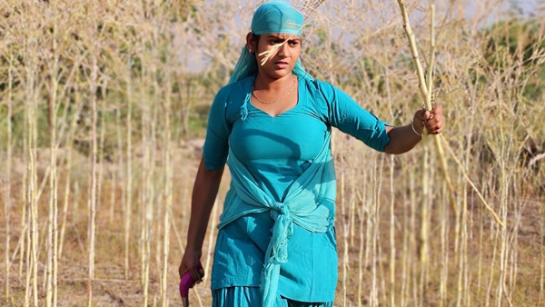 Shivani Kumari Bigg Boss Ott VIDEO