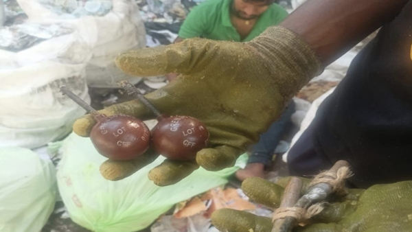 Wall grenade in Delhi garbage heap