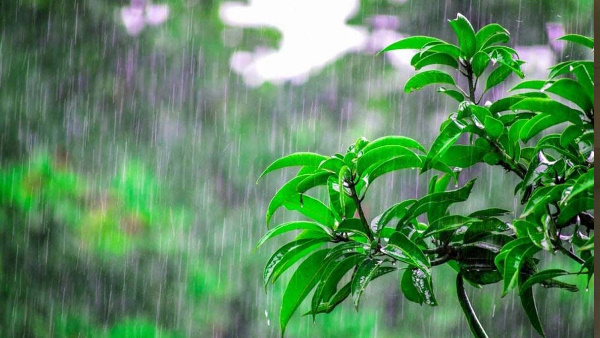Uttarakhand weather arrival of pre-monsoon will be heavy rain weather department issued alert