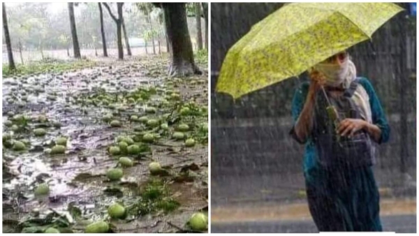 Moist air is coming from Arabian Sea storm and rain is going on in many districts including Indore-Bhopal