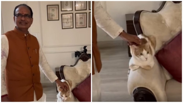 Shivraj Singh Chauhan s pet cat Gabru also welcomed in a different way video goes viral
