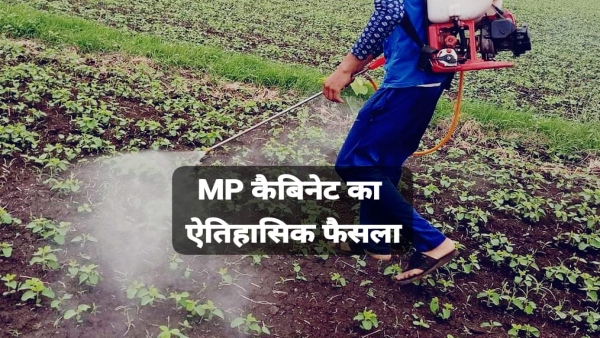 MP Sumer Singh Solanki gave information about income tax and agriculture of ministers MP Sumer Singh Solanki gave information about income tax and agriculture of ministers