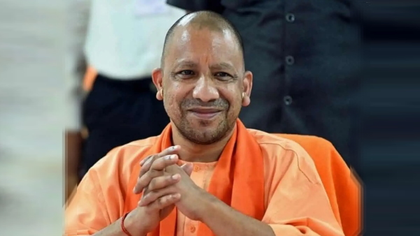 yogi 600 jpg