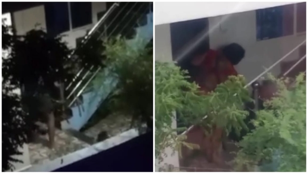 Video went viral after 9 months cruelty to dog ASI said- neighbor framed us