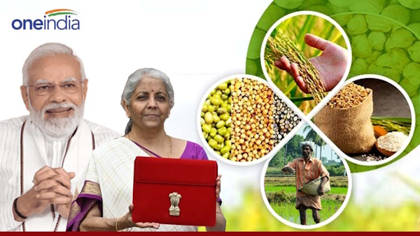 Budget 2024 No Increase in PM Kisan Nidhi Agriculture Budget Cut MSP