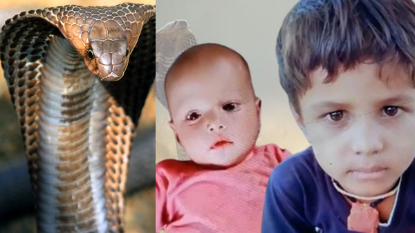 Brother sister bitten by cobra