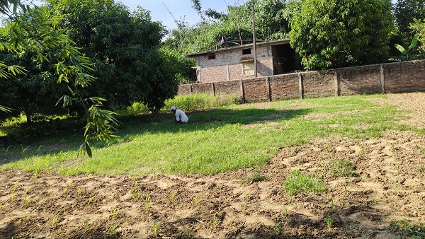 people are expecting rain scorching heat is still haunting read today weather news bihar in hindi