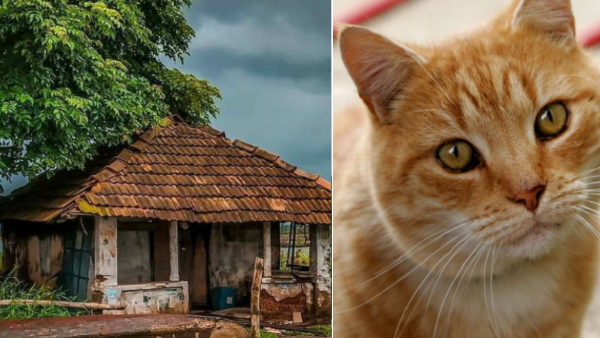 Jharkhand ka Billi Gaon