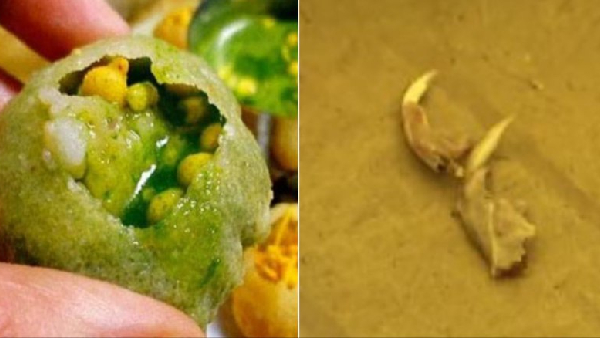 Bone pieces in golgappa guna news