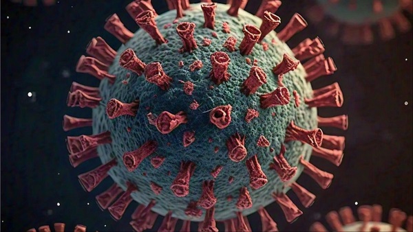 Chandipura virus Chandipura virus