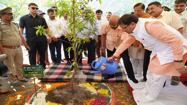Target plant 1 crore 64 lakh saplings campaign run till 15th August Harela festival celebrated