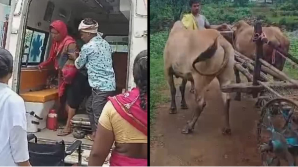 Delivery in women s ambulance Betul