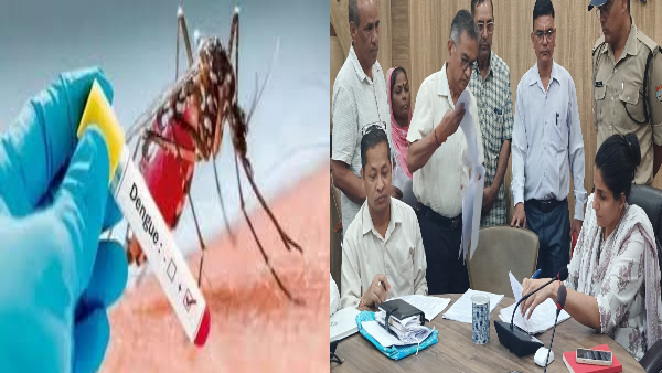 Dehradun news Special planning prepared dengue DM told what preparations toll free number released