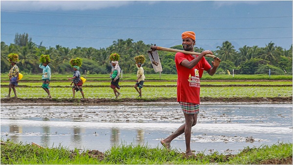 Budget 2024 Farmer
