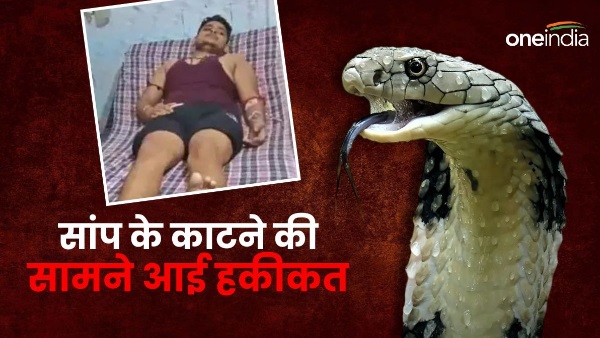 fatehpur snake bite news