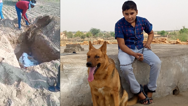 Dog shok sandesh dog viral news Dog shok sandesh dog viral news