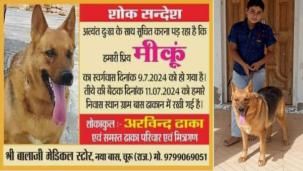 Dog shok sandesh dog viral news Dog shok sandesh dog viral news