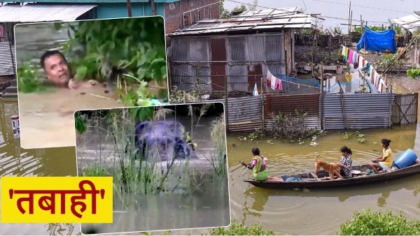 assam floods news
