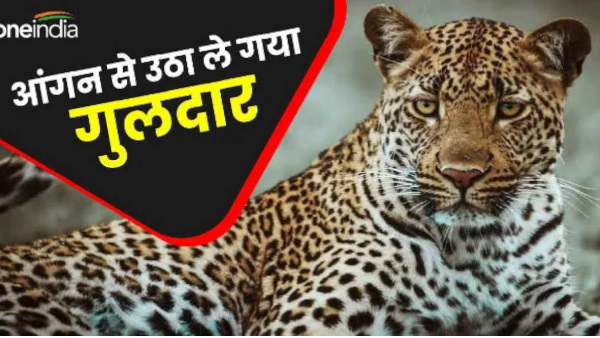 tehri news Mother had gone temple offer water Saavan Guldar took away her daughter from courtyard