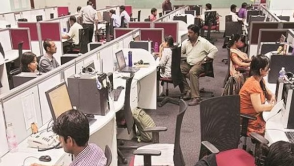 IT Employees