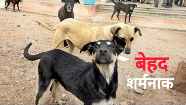 Khandwa news dead body of a newborn