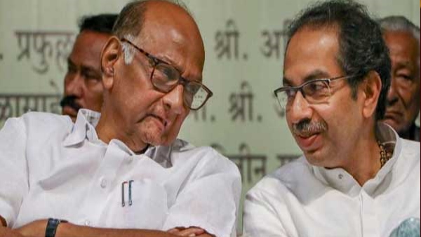 uddhav and sharad pawar