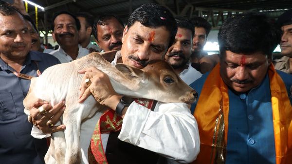 MP CM Mohan Yadav