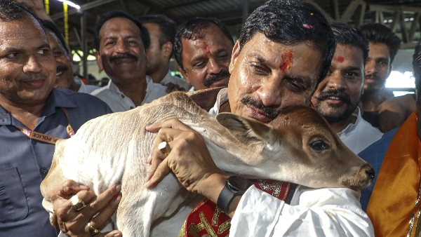 mp cm mohan yadav