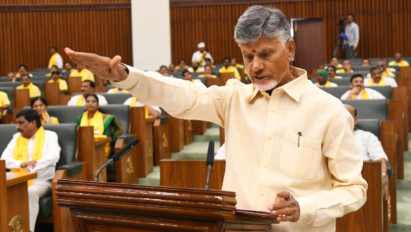 n chandrababu naidu