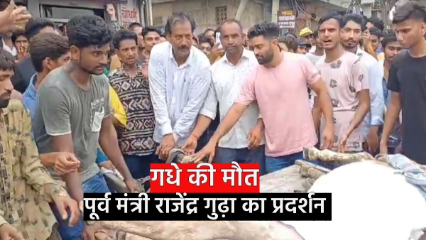 former-minister-rajendra-gudha-protests-over-the-death-of-a-donkey-in-jhunjhunu-rajasthan