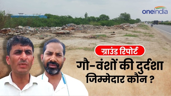 the-plight-of-cows-in-rajasthan-more-than-50-dead-bodies-of-cows-thrown-on-the-highway