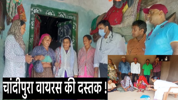 chandipura-virus-hits-udaipur-in-rajasthan-know-how-dangerous-this-virus-is