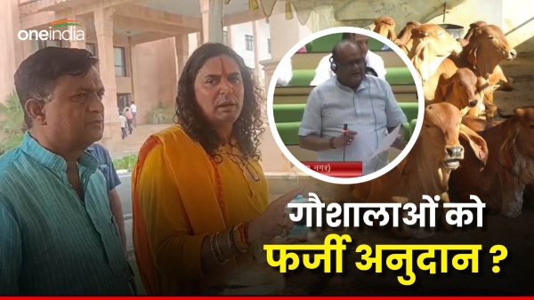 why-did-the-matter-of-fake-grants-to-cow-shelters-arise-in-the-rajasthan-legislative-assembly