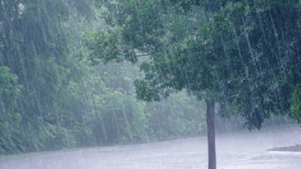 rain