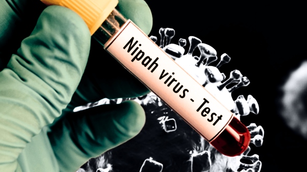 nipah virus malappuram