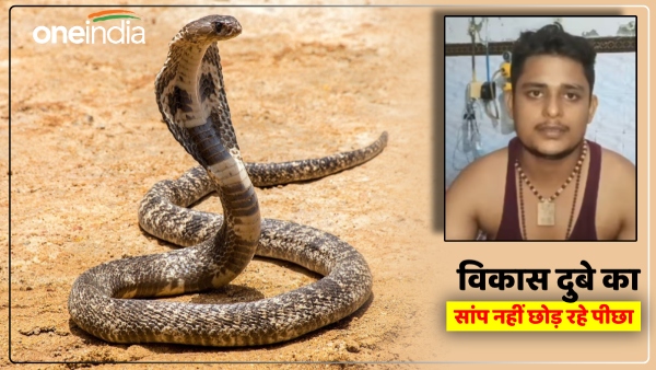 snakes-are-after-vikas-dubey-he-has-bitten-for-the-fifth-time-in-30-days