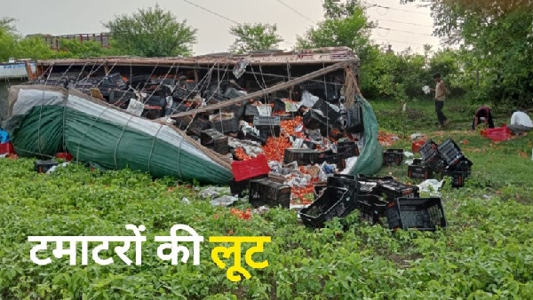 Sagar News Truck overturned tomatoes looted