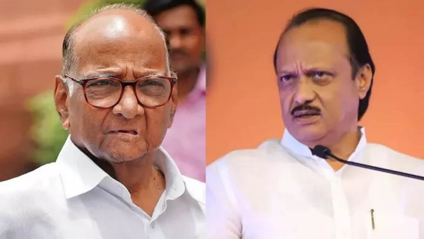 Sharad Pawar or Ajit Pawar