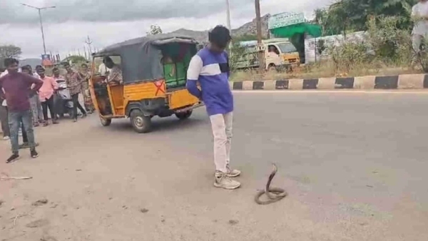 Viral Snake Video Andhra Pradesh