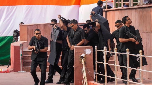 SPG commando Specialty