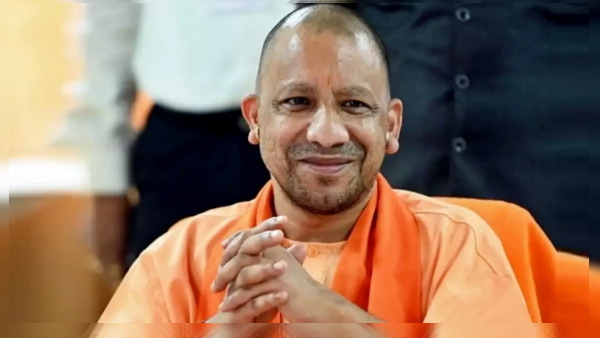 yogi