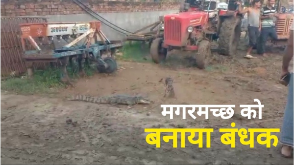 Sheopur villagers held crocodile hostage