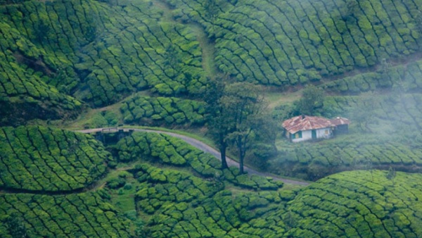 places in India to visit before monsoon ends 1
